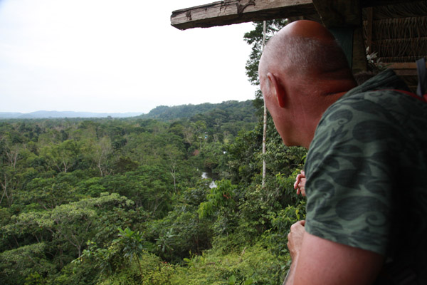 Jungle bij Yacumalodge